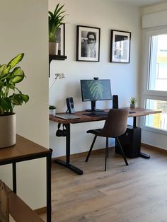 a desk with a computer on top of it next to a plant in a pot