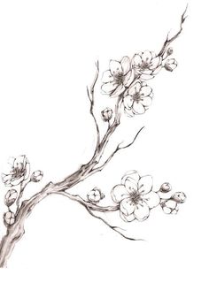 a drawing of a branch with flowers on it