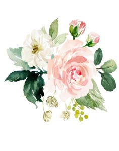 watercolor painting of pink and white flowers with green leaves on a white background,