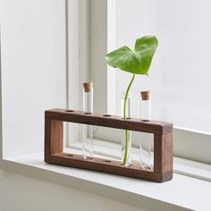 two test tubes with a plant in them on a window sill