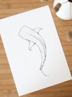 a black and white drawing of a dolphin on a piece of paper next to a vase