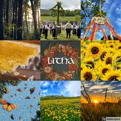 a collage of photos with sunflowers and butterflies in them, including the words luma