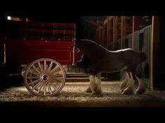 a horse that is standing next to a carriage in the dark with it's wheels down