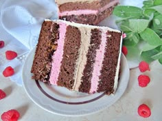 two slices of chocolate and raspberry cake on a plate