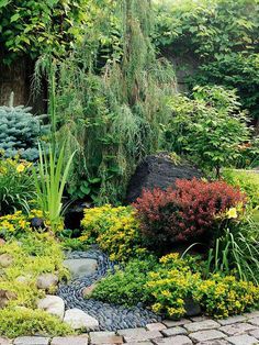 a garden with lots of plants and rocks in the center, surrounded by greenery