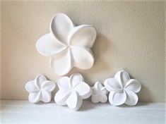 four white flowers are placed next to each other on a shelf in front of a wall