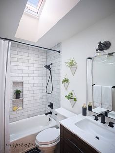 a bathroom with a skylight above the toilet and sink area, along with a walk in shower