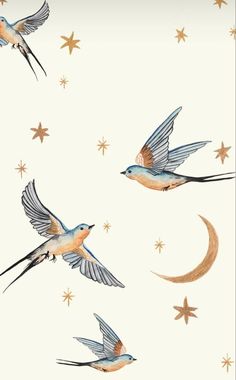 three birds are flying in the sky with stars and crescents on it's back