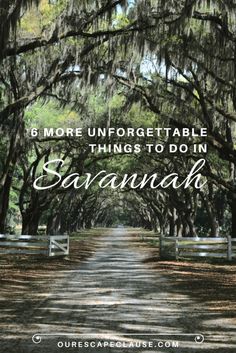 the road that leads to savannah with text overlay reading 6 more unforgettable things to do in savannah