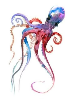 an octopus is painted in watercolor on white paper with blue and pink inks