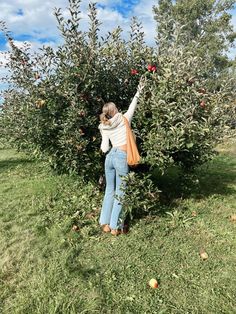 a woman picking apples from an apple tree