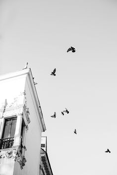 black and white photograph of birds flying in the air near a building with balconies