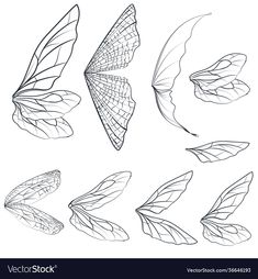 some different types of leaves on a white background, one is drawn in black and the other