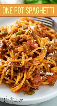 one pot spaghetti on a white plate with the title above it in orange and brown