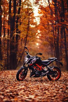 a motorcycle parked in the middle of an autumn forest