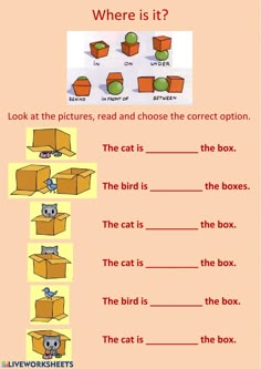 an image of a cat in a box with the words where is it?