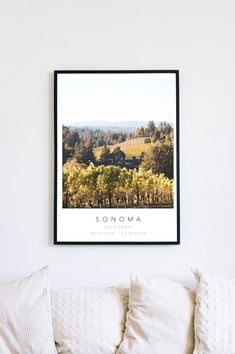 a white couch sitting under a framed photo