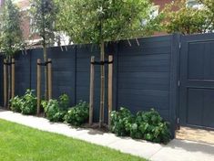 a row of trees in front of a blue fence with green plants growing between them