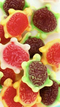 colorful candies are arranged in the shape of turtle's on a white plate