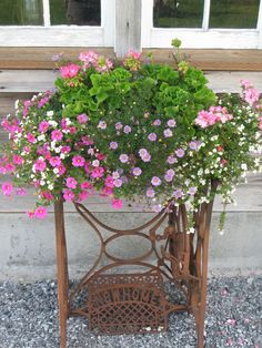 pink and white flowers are growing in a pot on a stand next to a window