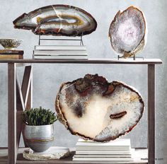 an assortment of agate wares on a metal shelf next to a potted plant