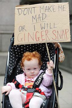 a baby in a stroller holding a sign that says don't make me mad or i will ginger snap