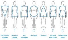 the body is shown with different positions and sizes for each individual to see in this figure