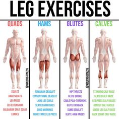 an image of the different muscles and their corresponding names on a white background with text that says leg exercises