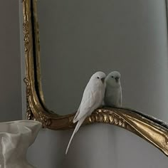 two white birds sitting on the edge of a mirror