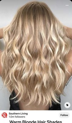 Blonde Foils, Warm Blonde Hair, Cream Of Wheat, Neutral Blonde, Champagne Blonde, Warm Blonde, Blonde Hair Shades, Blonde Hair Looks, Blonde Hair With Highlights