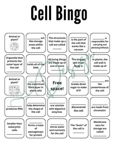 cell bingo game for kids to play