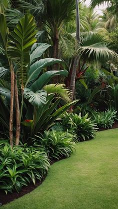 a lush green garden filled with lots of trees