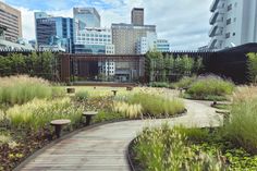 a wooden walkway through a lush green park with tall buildings in the background