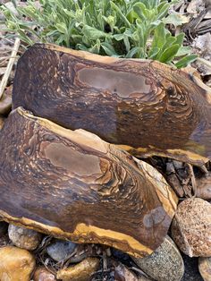 two pieces of wood sitting on top of rocks