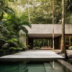 an outdoor swimming pool surrounded by trees and greenery in front of a concrete house