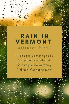 Lemongrass Essential Oil Blends, Lemongrass Diffuser Blend, Aveda Essential Oil Recipe, Patchouli Diffuser Blend, Patchouli Essential Oil Blends, Rosemary Diffuser Blends, Rain Essential Oil Blend, Rain Diffuser Blend, Rain Diffuser