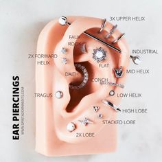 an ear piercing diagram with all the parts labeled on it's side, including different types of studs