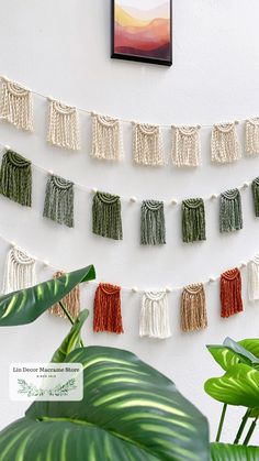 there are many tassels hanging on the wall next to a potted plant