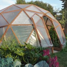 a small greenhouse in the middle of some flowers and plants around it's edges