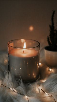 a candle sitting on top of a white fur covered floor next to a potted plant