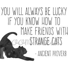 a black and white photo with the quote you will always be lucky if you know how to make friends with strange cats