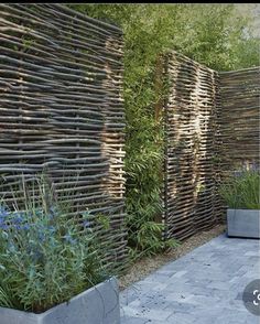 an outdoor area with plants and concrete planters on the side of the wall,