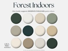 the front cover of forest indoorss, featuring different shades of green and white paint