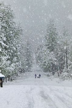 three people walking down a snow covered road in the middle of winter with lots of snow falling on them