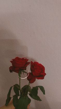 a hand holding a vase with three red roses in it and a ring on the top