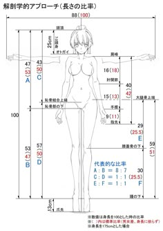 a drawing of a woman's body and measurements