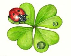 a ladybug sitting on top of a four leaf clover