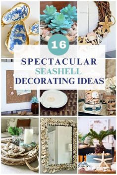 a collage of sea shells and other decorative items with text overlay that reads 16 spectacular seashell decorating ideas