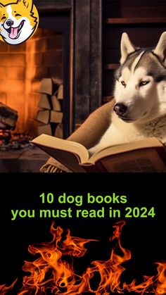 a dog is reading a book with fire in the background