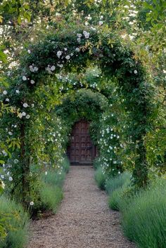 an archway with white flowers and greenery on either side, leading to a wooden door